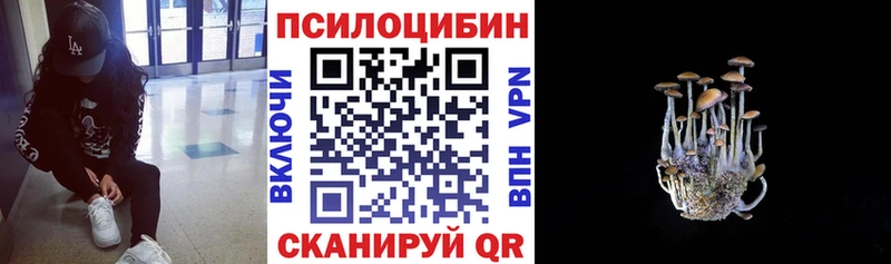 Галлюциногенные грибы мицелий  Купить где  Северобайкальск 